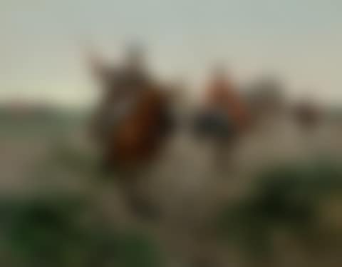 The Caravan (preview)