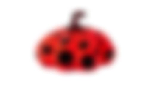 Naoshima Red Pumpkin (preview)