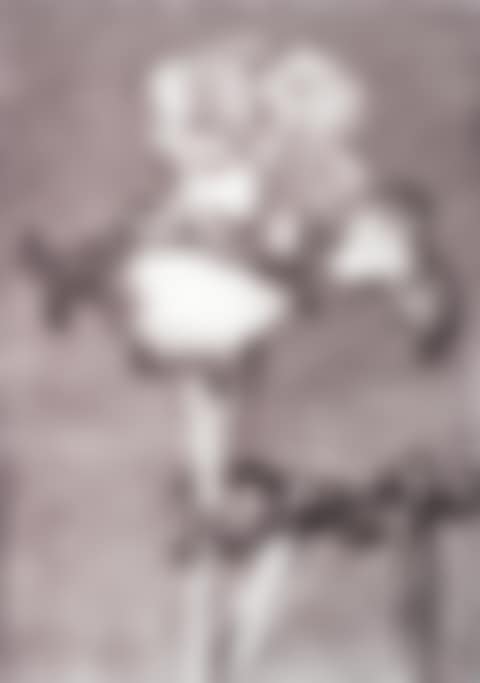 Iris II (in Clamp) (preview)
