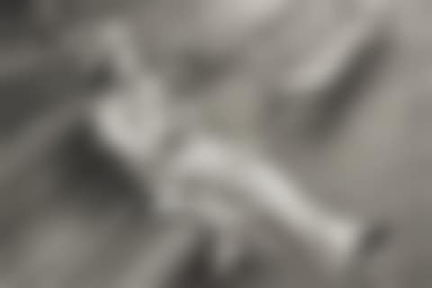 Hyde Park in the Grey Drizzle, London (preview)