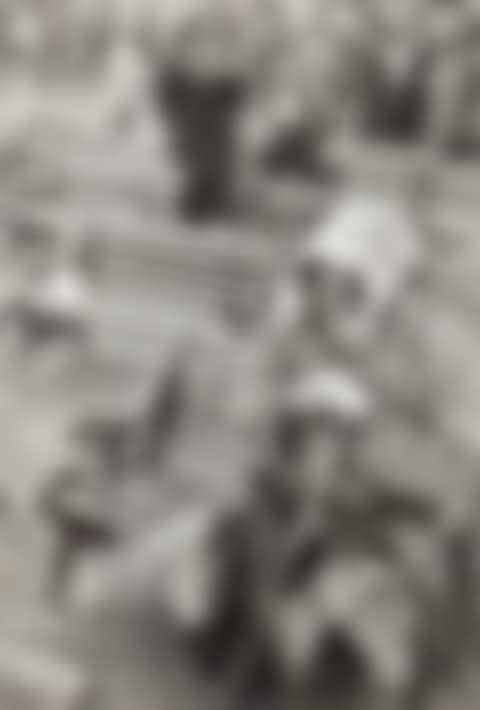 Ascot (preview)
