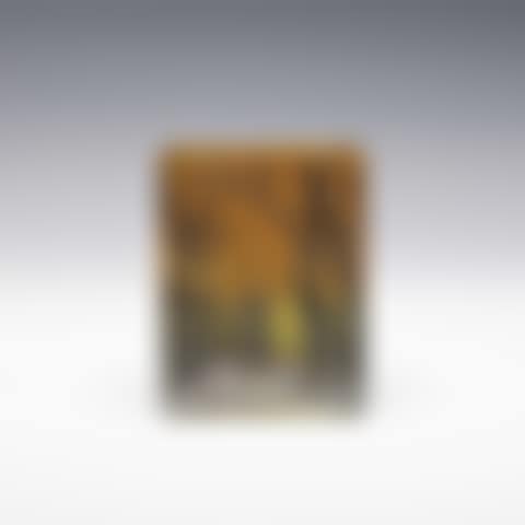 WINTER SCAPE VASE (preview)