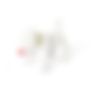 DOGGY RADIO (preview)