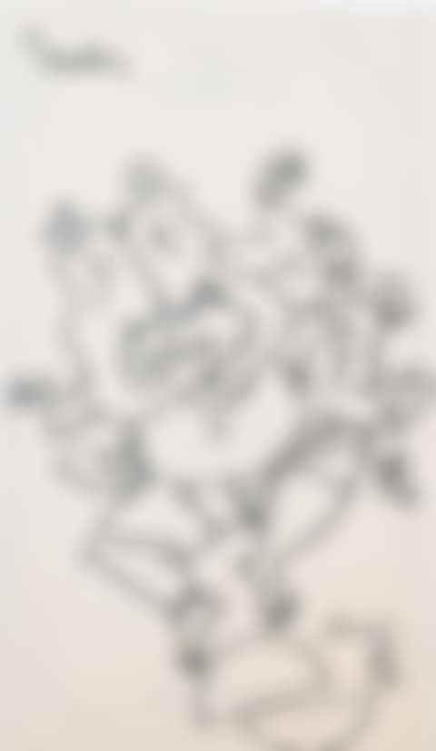 Untitled (Dancing Ganesh & Woman) (preview)