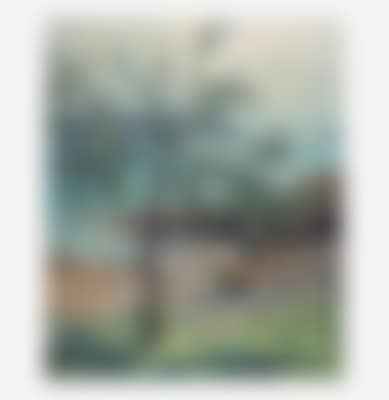 Jetty Tree (Port Clyde, Maine) (preview)