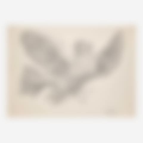 Colombe Volant (preview)