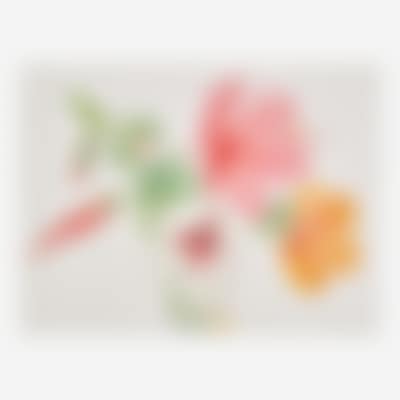 Hibiscus, Bermuda III (preview)