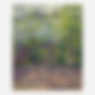Flowering Apple Tree (preview)