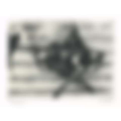 Untitled (for Harvey Gantt) (preview)
