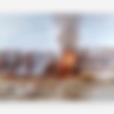 Desert Fire #1 (Burning Palms) from Desert Canto IV: The Fires (preview)