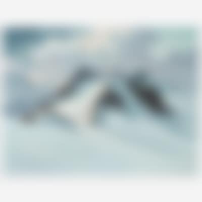 In the Tuxer Alps (preview)