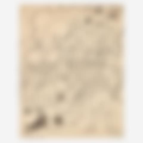 Untitled (Revolution) Illustration for "Fermin" (preview)