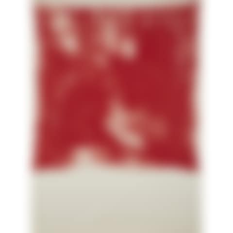 Red Bandana (preview)