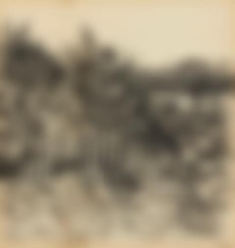 Bracken Field (preview)