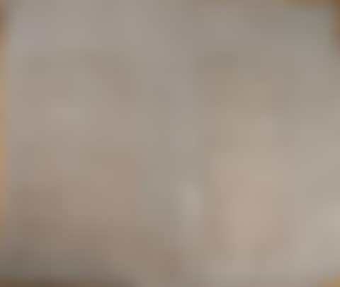 CARPET (preview)