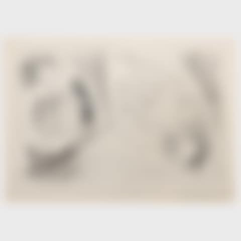 Rembrandt and heads of women, from La Suite Vollard (preview)