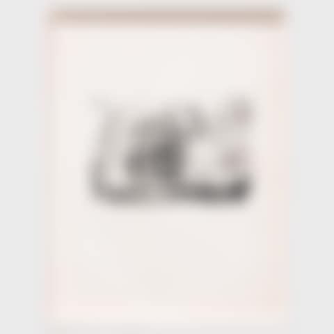 The Little Flower Pot, from Dans l'Atelier de Picasso (preview)