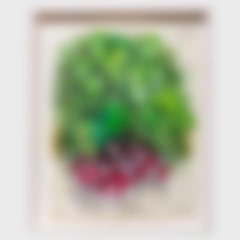 Bunch of Radishes (preview)