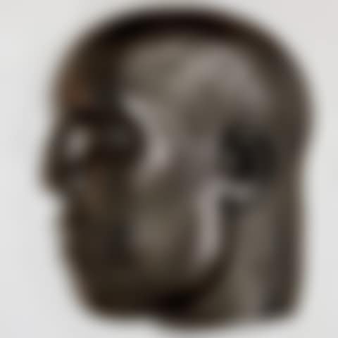 Head from the Real World (preview)
