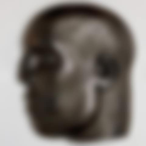 Head from the Real World (preview)