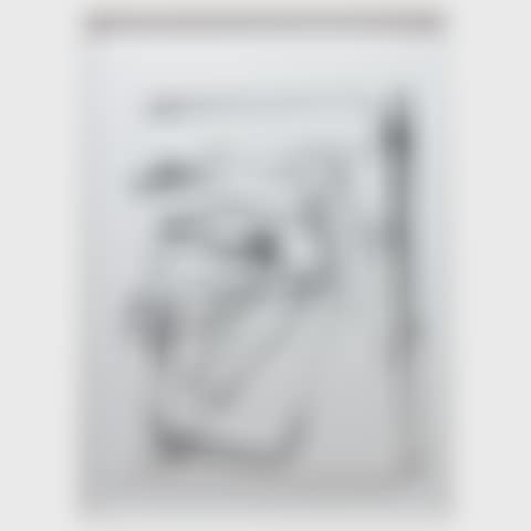 Untitled, from Trace I (preview)