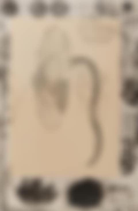 MARGINALIA (preview)