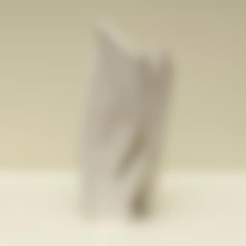 Plant (preview)