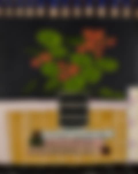 Untitled (preview)
