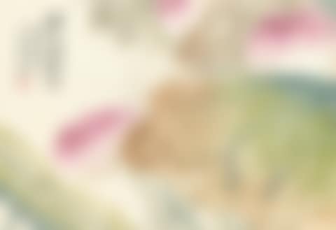 Lotus (preview)