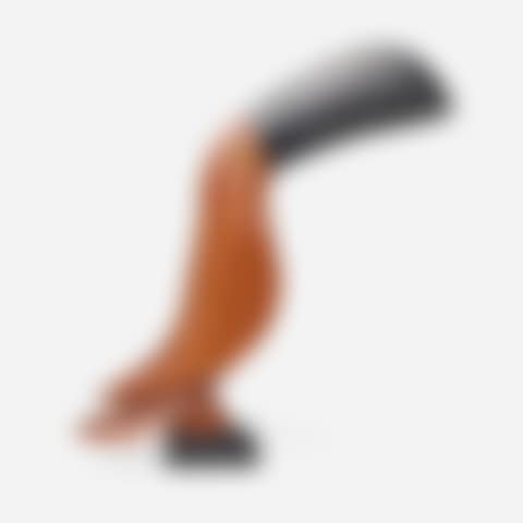 Toucan (preview)