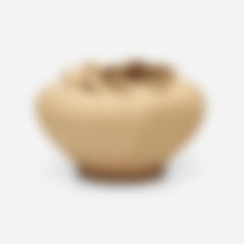 Vase (preview)