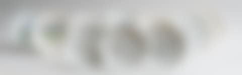 A GROUP OF ELEVEN PLATES (preview)