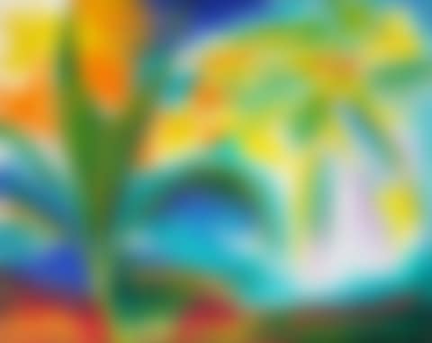Palms (preview)