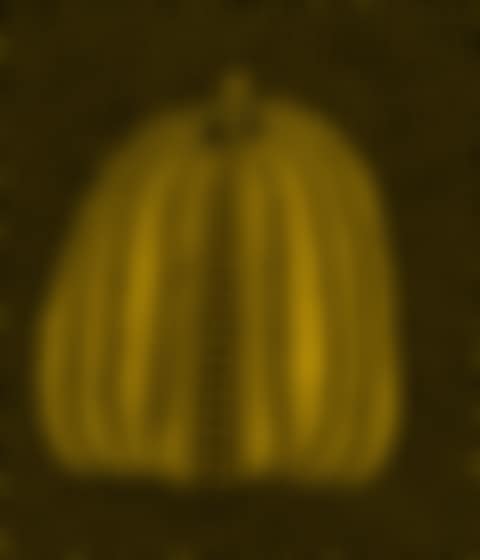 Pumpkin (2) (preview)