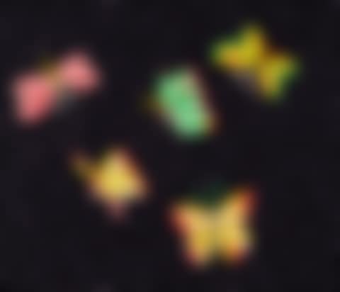 Butterfly (preview)