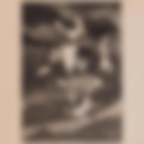 Plein Ceil (preview)