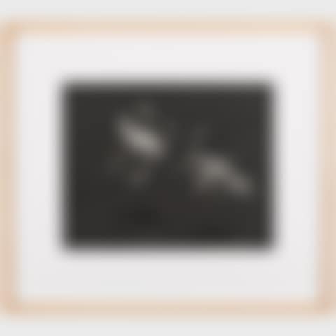 Untitled (68-state) (preview)