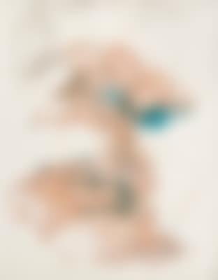 Ohne Titel (preview)