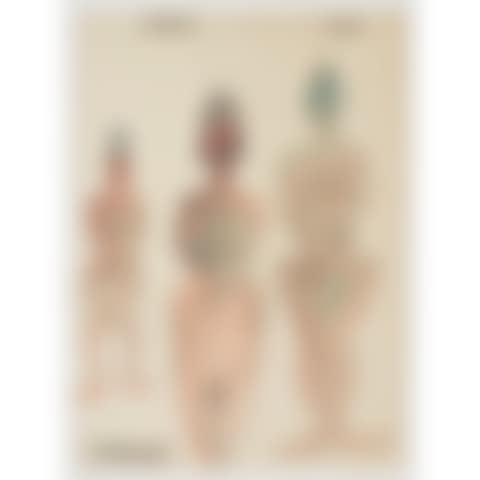 NUDE FIGURES (preview)