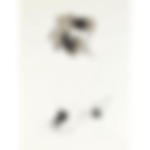 UNTITLED (ABSTRACT) (preview)