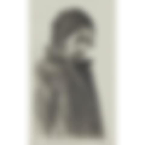 BEARDED 1/2 FIGURE WITH CAP (preview)
