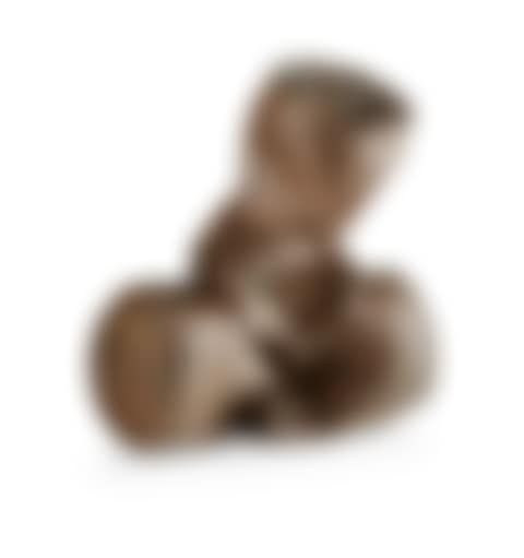 BEER CAN PENIS (preview)