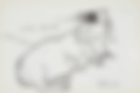 LITTLE BOODGE (preview)
