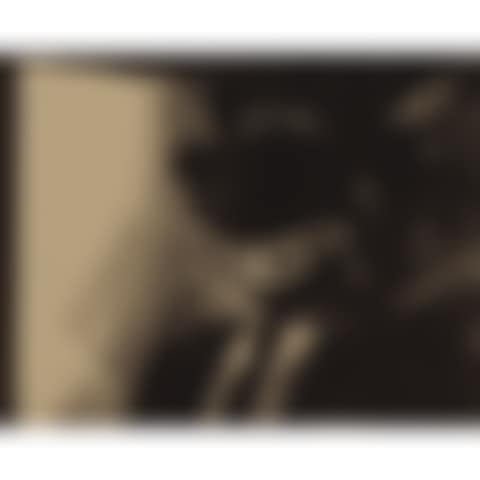 A "SINGLE FRAME" FROM THE 'MNEMONIC PICTURES' FOLIO (preview)