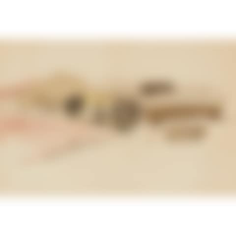 UNTITLED (BORDERS LANDSCAPE) (preview)