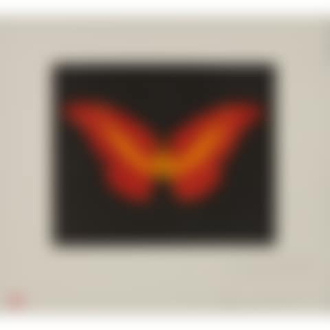 TO LOSE (RED BUTTERFLY) (preview)