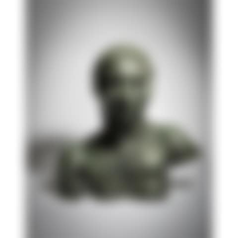 Third Portrait of Sunita (Bust with Necklace) (preview)