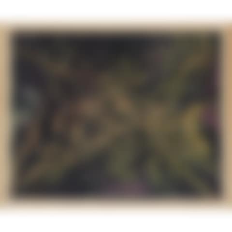 LA RAIE (preview)
