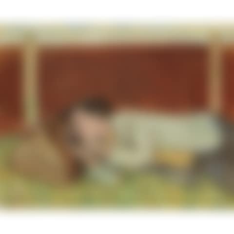 BOAT FIELD SLEEPER (preview)