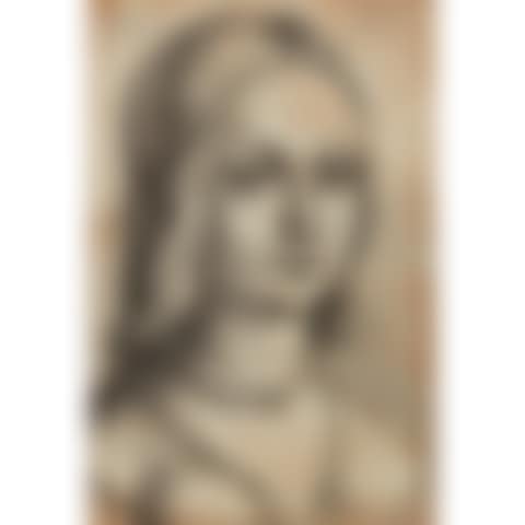 HEAD OF WOMAN, AFTER LORENZO DI CREDI (preview)